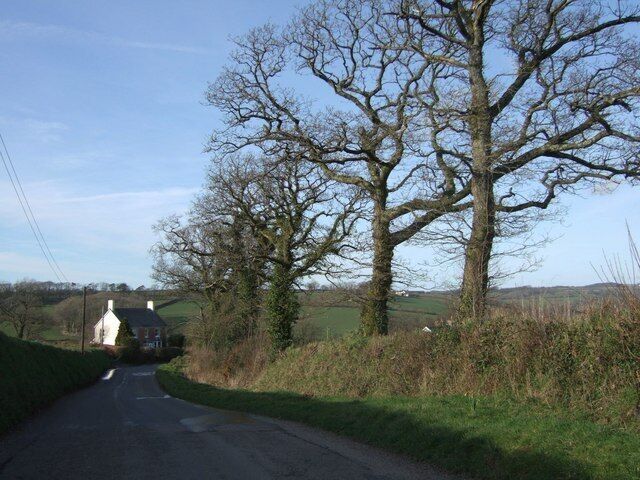 Lane north of Bratton Clovelly The lane (which leads to Voulsdon Cross) drops away down the northern slope of the hill on which the village stands, past Tugela, a brick house named after the South African river by a Boer War survivor.