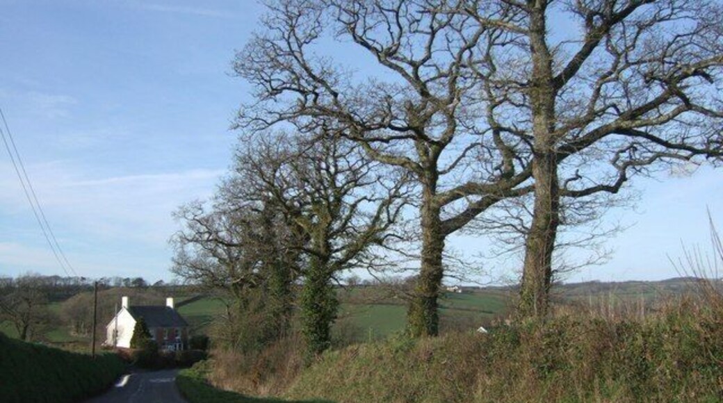 Lane north of Bratton Clovelly The lane (which leads to Voulsdon Cross) drops away down the northern slope of the hill on which the village stands, past Tugela, a brick house named after the South African river by a Boer War survivor.