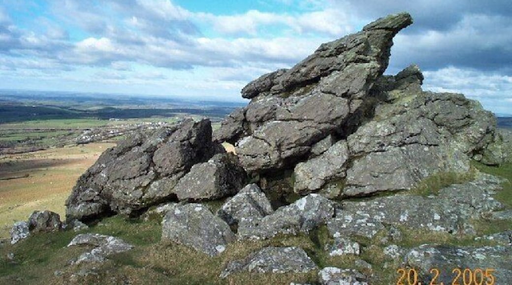 Sourton Tors. One of the Sourton Tors - SX 543898. This is dolerite - not granite - and was intruded along the edge of the granitic mass.