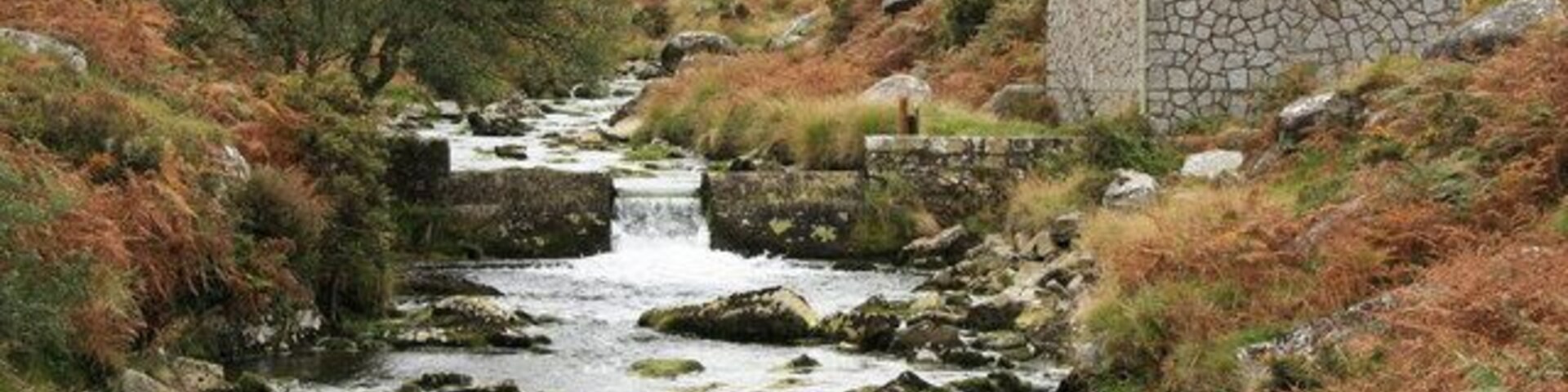 Weir on the River Taw Another part of the extensive water management system in the Taw valley south of Belstone.