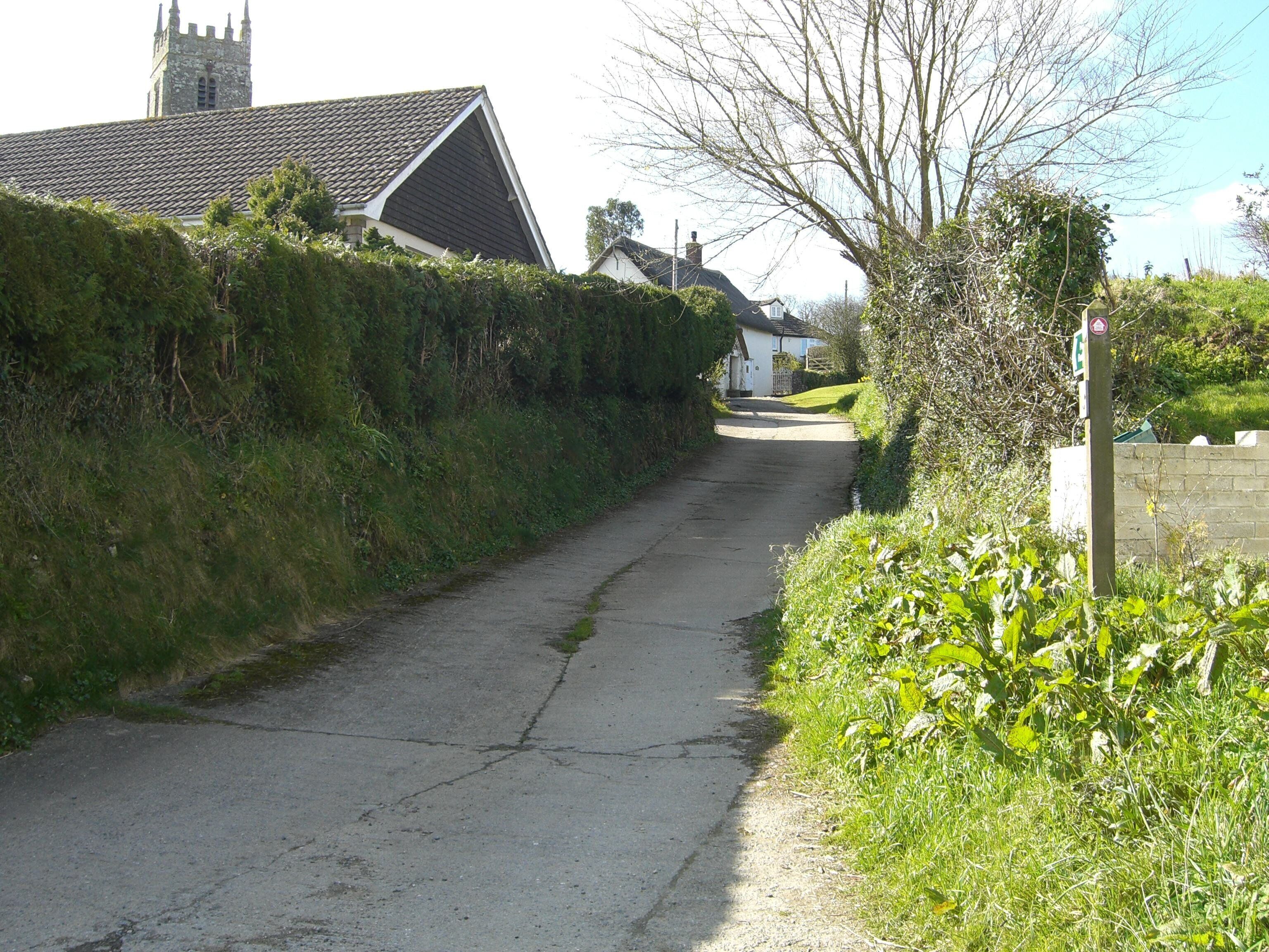 Cott Lane