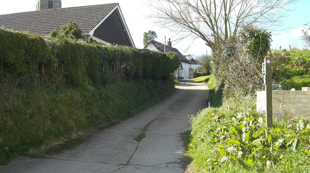 Cott Lane