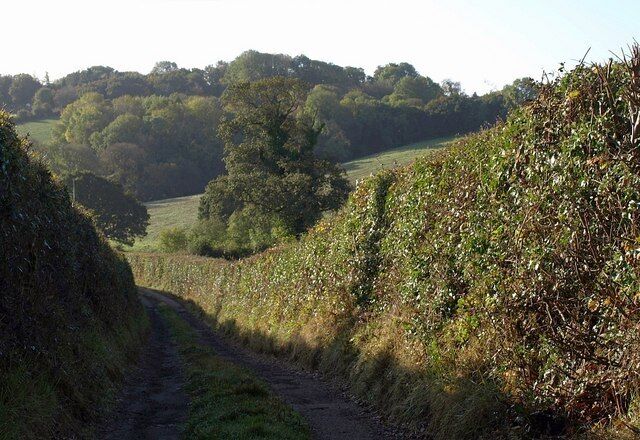 Track to Mill Farm. From the same spot as 1548827, looking the other way down Drewsteignton Footpath 8 into the Fingle Brook valley.
