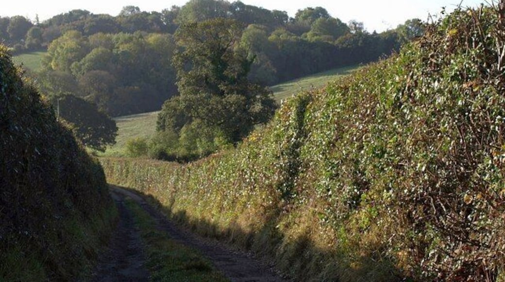 Track to Mill Farm. From the same spot as 1548827, looking the other way down Drewsteignton Footpath 8 into the Fingle Brook valley.