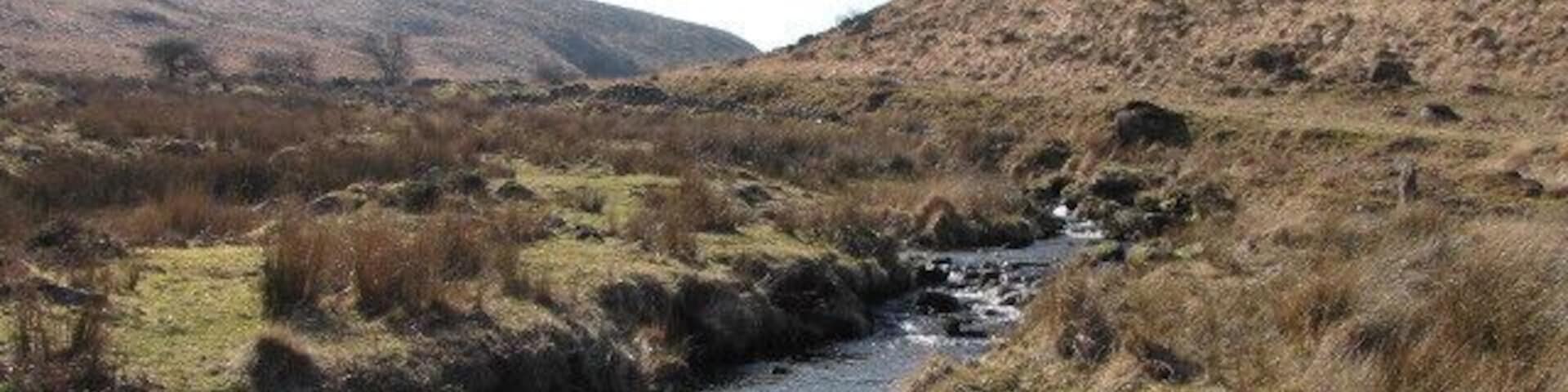 River Taw near Taw head This is the River Taw in South Taw Marsh. It is still a stream here, but becomes a raging river within a mile and many other streams meet it in the marsh.