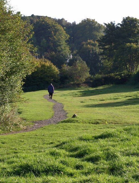 Footpath, South Zeal. South Tawton Footpath 1 crosses the southern part of the field shown in 989171, where it widens behind the adjacent plot to the east.