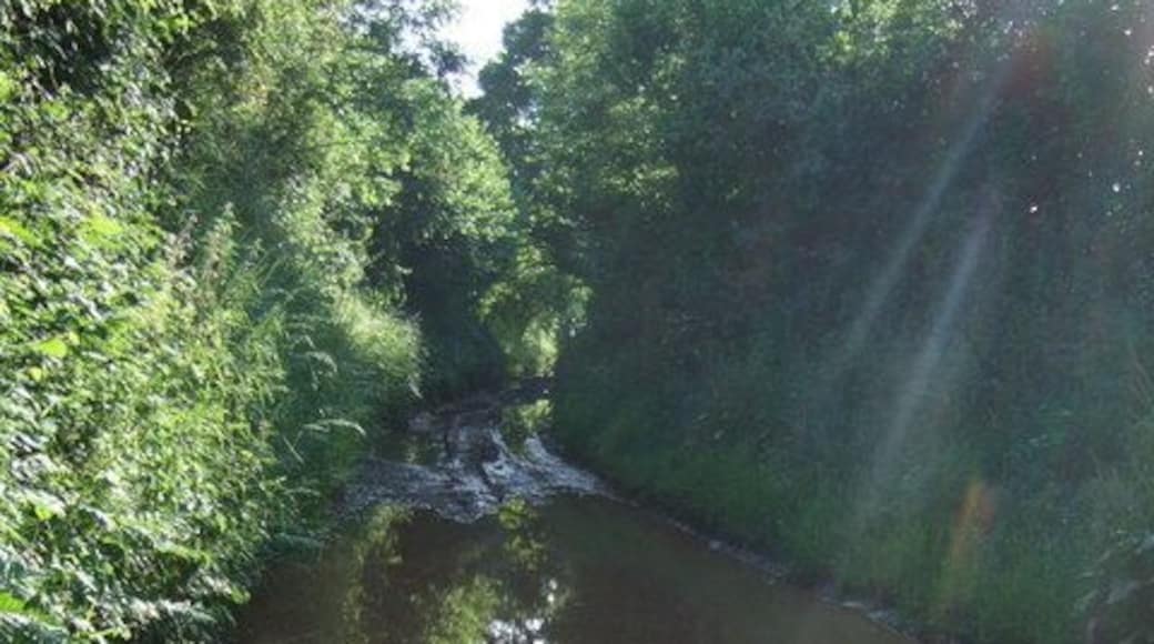 Very wet track near Exbourne. A view along 469041 taken from the same spot as 469049. Wellies required for further progress, even in mid-June.
