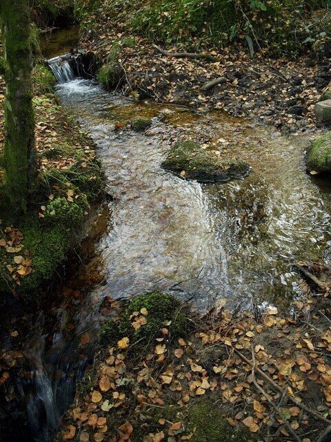 Stream by South Tawton Footpath 46. The path shown in 996732 quickly has to negotiate this stream, charmingly tipping down tiny falls.