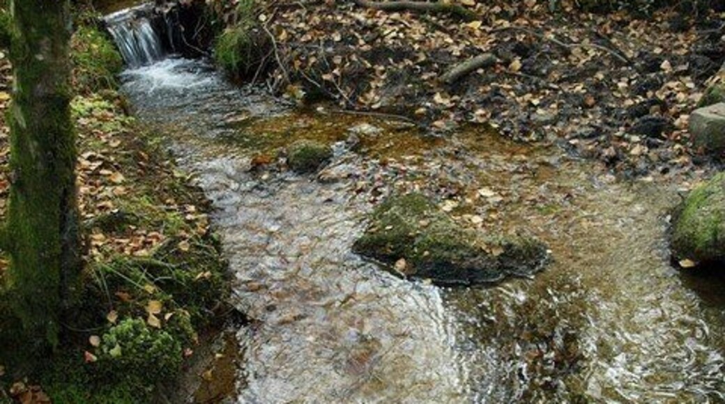 Stream by South Tawton Footpath 46. The path shown in 996732 quickly has to negotiate this stream, charmingly tipping down tiny falls.
