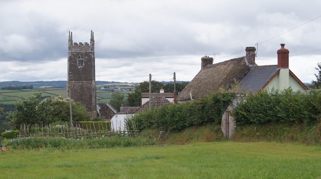 Petrockstowe roof tops