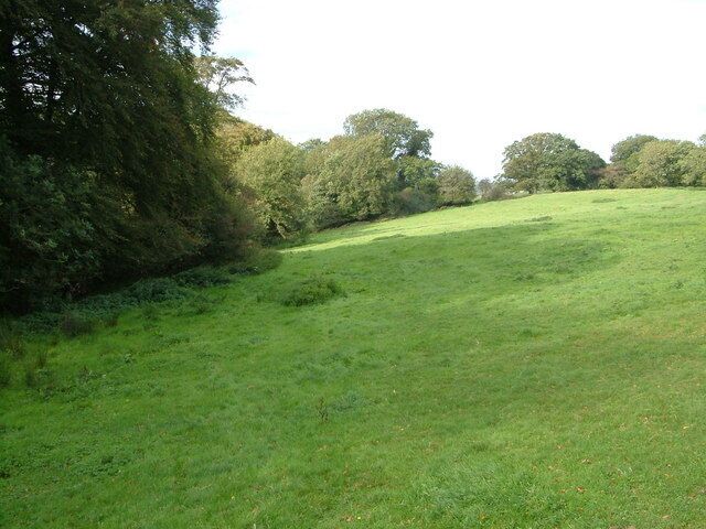 Field beside Blue Meadow Quarry. The disused quarry lies behind the trees on the right. The field slopes to a re-entrant that drains into the River Lew via a tributary. Seen from the lane north of Watergate Cross.
