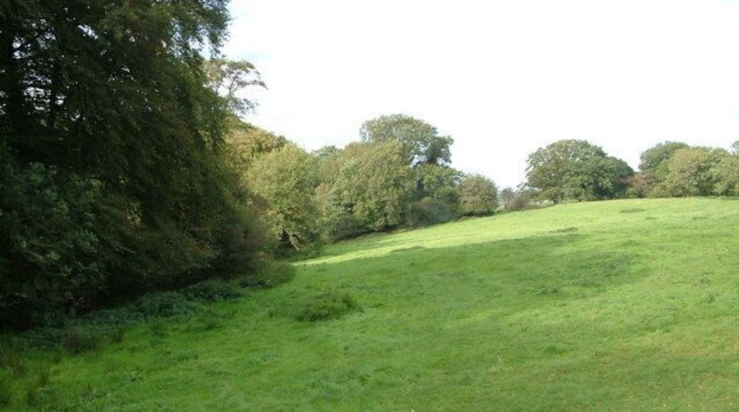 Field beside Blue Meadow Quarry. The disused quarry lies behind the trees on the right. The field slopes to a re-entrant that drains into the River Lew via a tributary. Seen from the lane north of Watergate Cross.