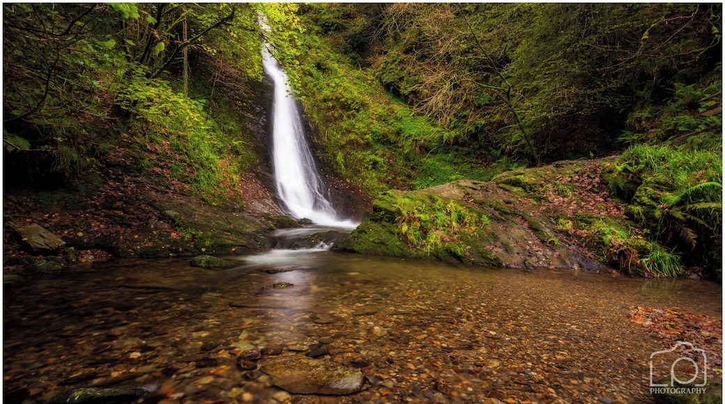 This is the #whiteladywaterfall in #Dartmoor #NationalPark at #Lydford it is about thirty meters high and can be found while walking around this fantastic #NationalTrust run location. I have a vlog on my youtube channel https://youtu.be/aWMWJLNhLmQ well worth a watch from this grear area