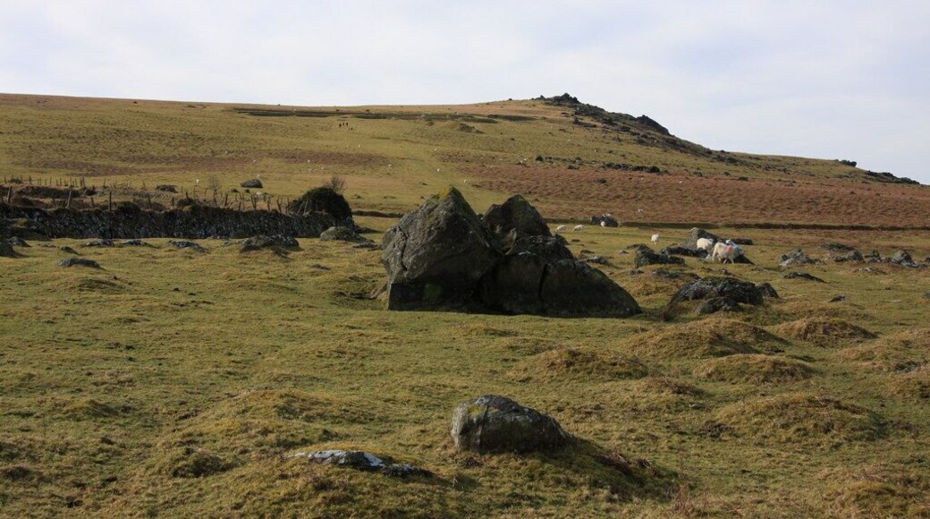 Path to the ice works. Heading south-west to the site of the disused ice works, see 595791 with Sourton Tors beyond.