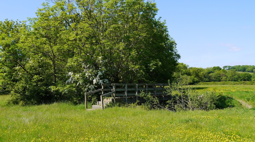 Milltown farm footpath bridge.