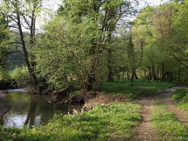 Beside the River Lew. The wooded area surrounds Lewtrenchard Footpath 2 (not the track seen) as it approaches 426846. The river is flowing away from the camera.
