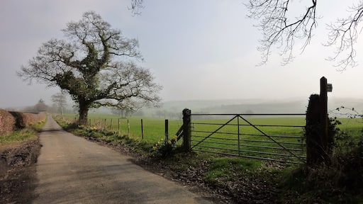 . . From Bogtown to Wadland Barton Footpath.
