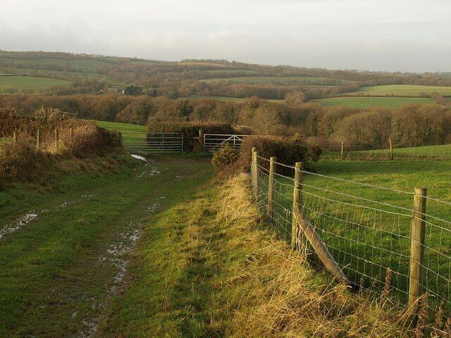 A rural landscape with a fenced path leading through a gate, surrounded by fields and trees.