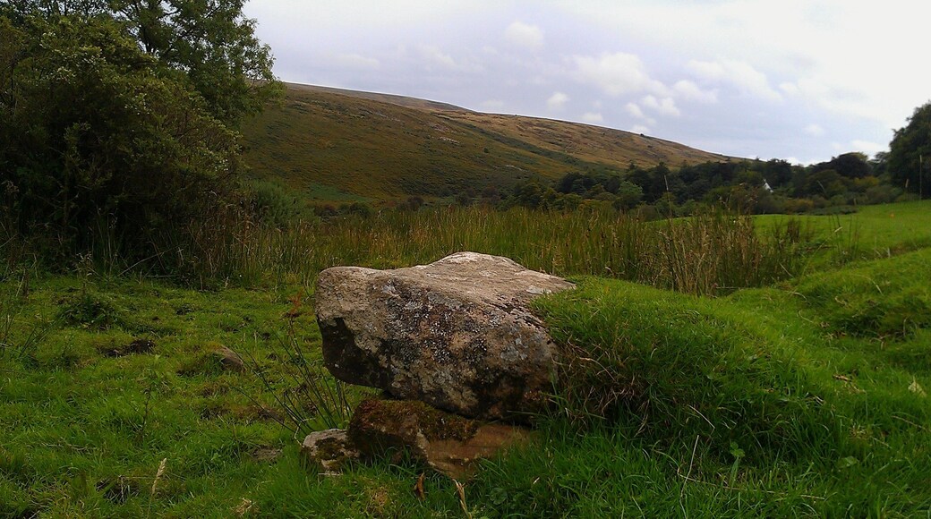 The Holy Well at Belstone in the north of Dartmoor, Devon.