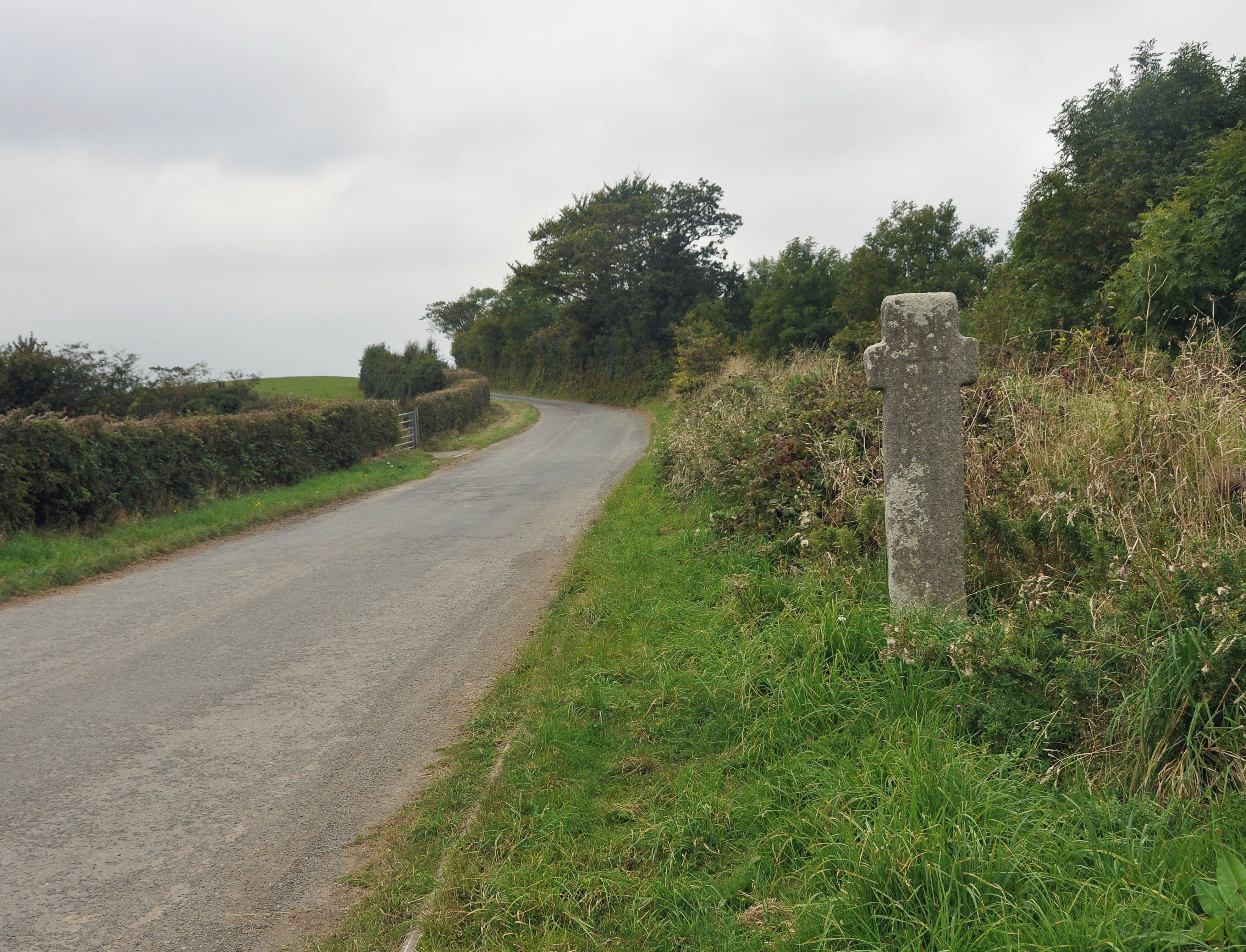 Ringhole Copse Cross on the northern edge of Dartmoor to the east of South Tawton.