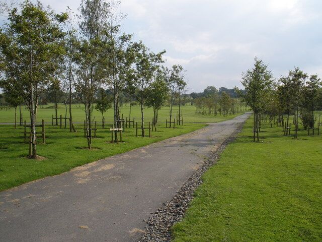 Un sendero pavimentado bordeado por árboles jóvenes en un campo cubierto de hierba.