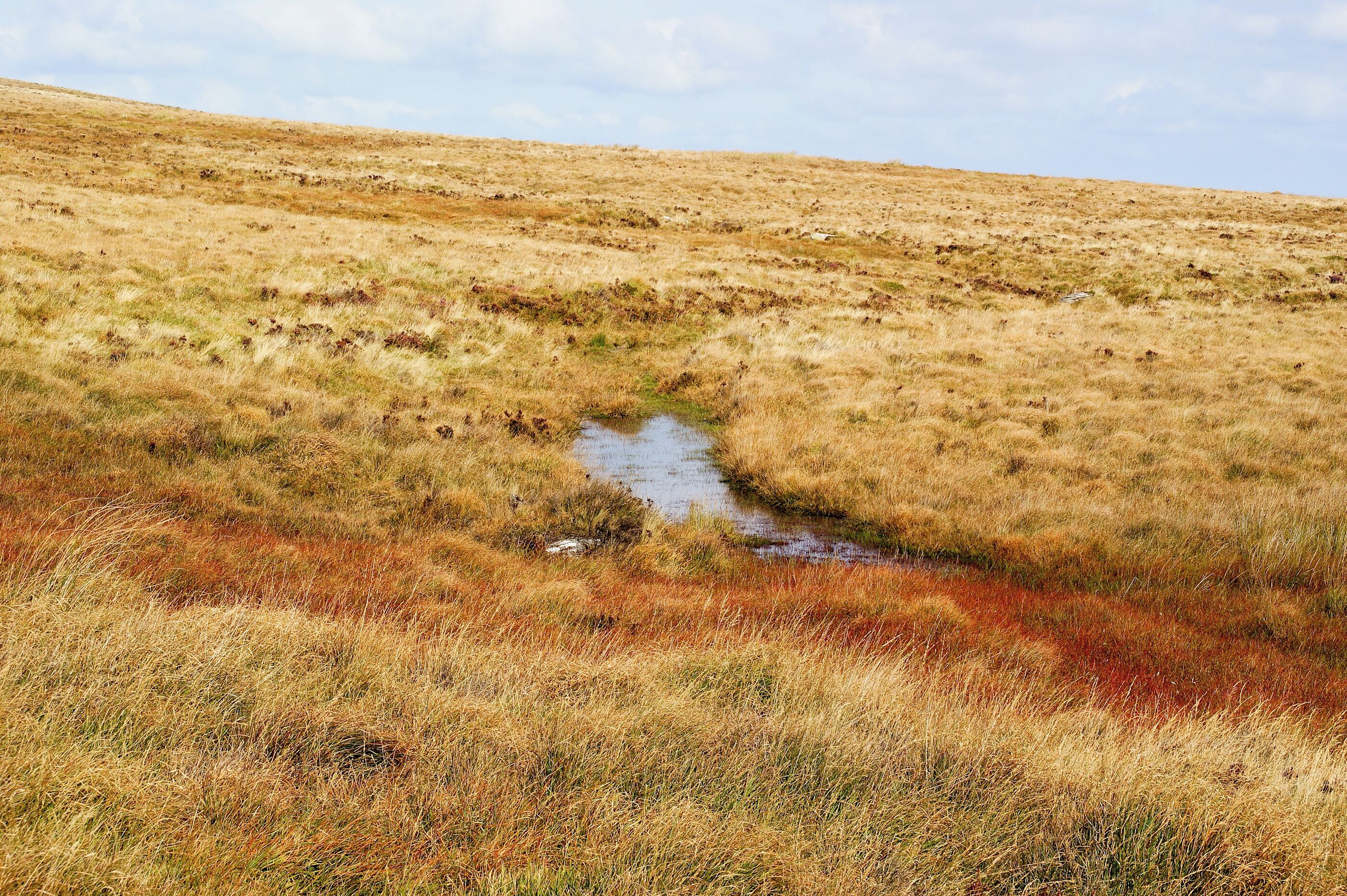 This shows the South Zeal track on northern northern Dartmoor, Devon, UK. This is one of the ancient cross moor tracks used over many years prior to roads. The track here runs beside Raybarrow pool, one of Dartmoor's peat bogs and is rather wet.