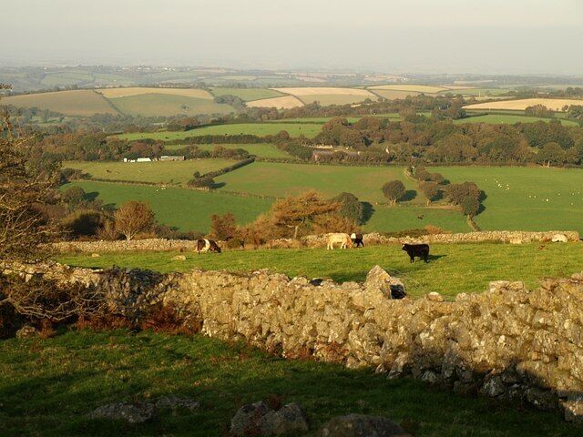 A rural landscape with stone walls, grazing cattle, and rolling fields.