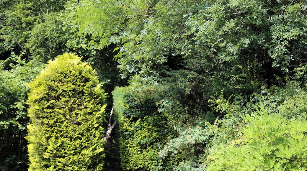 A gap through shrub hedging at The Gibberd Garden, in the Harlow District of Essex, England