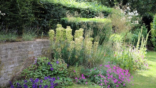 A hedge-backed lawn flower and shrub bed, and brick wall, at The Gibberd Garden, in the Harlow District of Essex, England