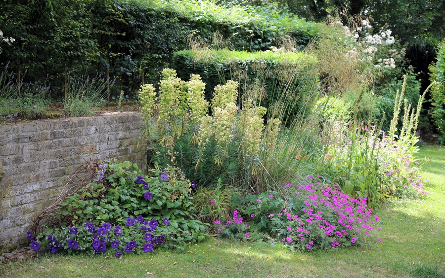A hedge-backed lawn flower and shrub bed, and brick wall, at The Gibberd Garden, in the Harlow District of Essex, England