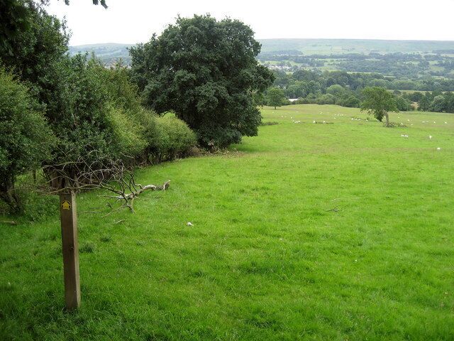 Footpath to the River Wharfe Footpath from Askwith leading down to the stepping stones at Greenholme - unfortunately I had to turn back as the river was well over the stones.