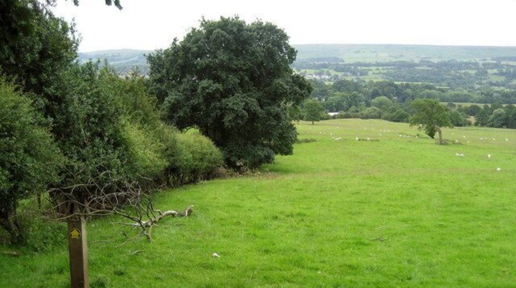 Footpath to the River Wharfe Footpath from Askwith leading down to the stepping stones at Greenholme - unfortunately I had to turn back as the river was well over the stones.