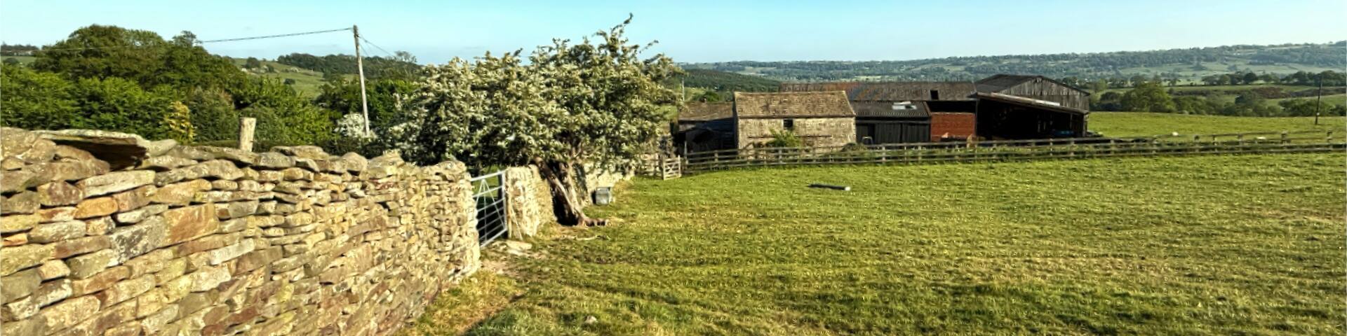"A late evening glow is cast over a serene rural landscape, with a dry stone wall leading to a barn, framed by a leaning tree. Lush fields stretch beneath a clear blue sky in, Stainburn, Otley, UK"