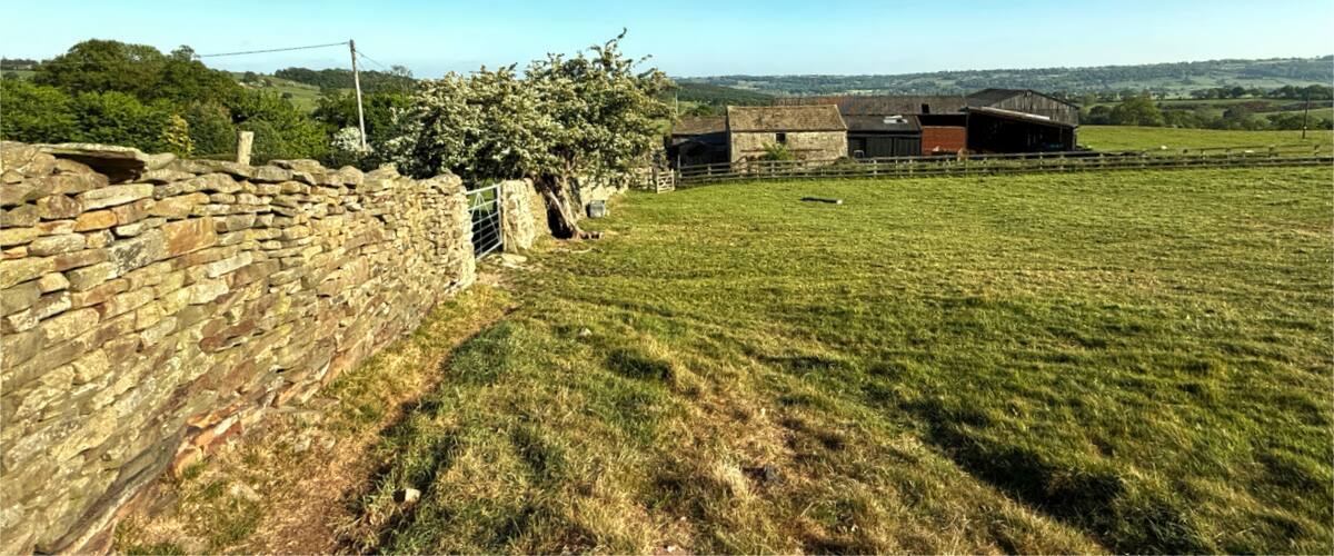 A stone wall, a tree, a grassy field, and a barn.