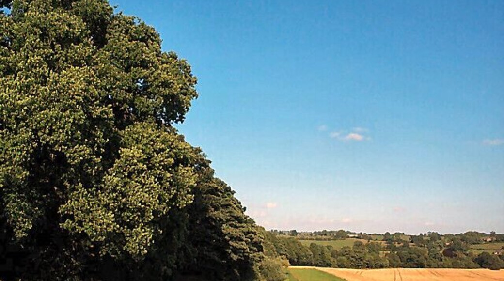 Farnley Estate land, nr Farnley