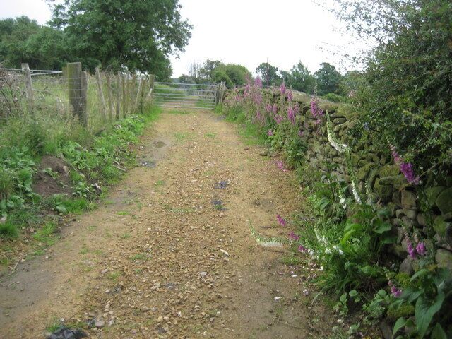 Track by Town Head Track leading onto Moor Lane to the north of Askwith.