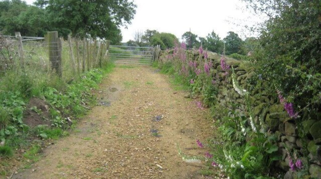 Track by Town Head Track leading onto Moor Lane to the north of Askwith.