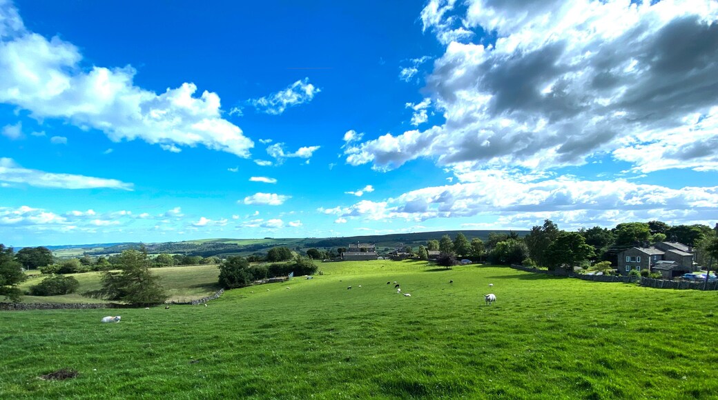 Rural landscape, with sheep, fields, farms, and distant hills near, Timble, Otley, UK