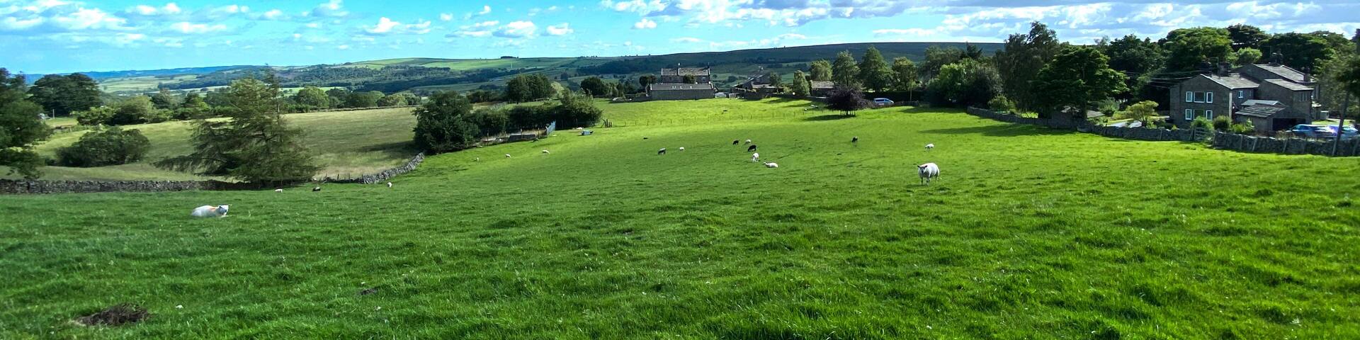A green field with sheep, a village, and a blue sky with clouds.