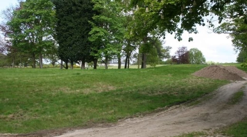 Ottershaw. West side of the square, off the A317, looking north towards The Coach House, with Queenwood Golf Course between.