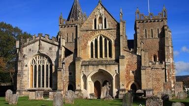 Ottery St Mary Parish Church