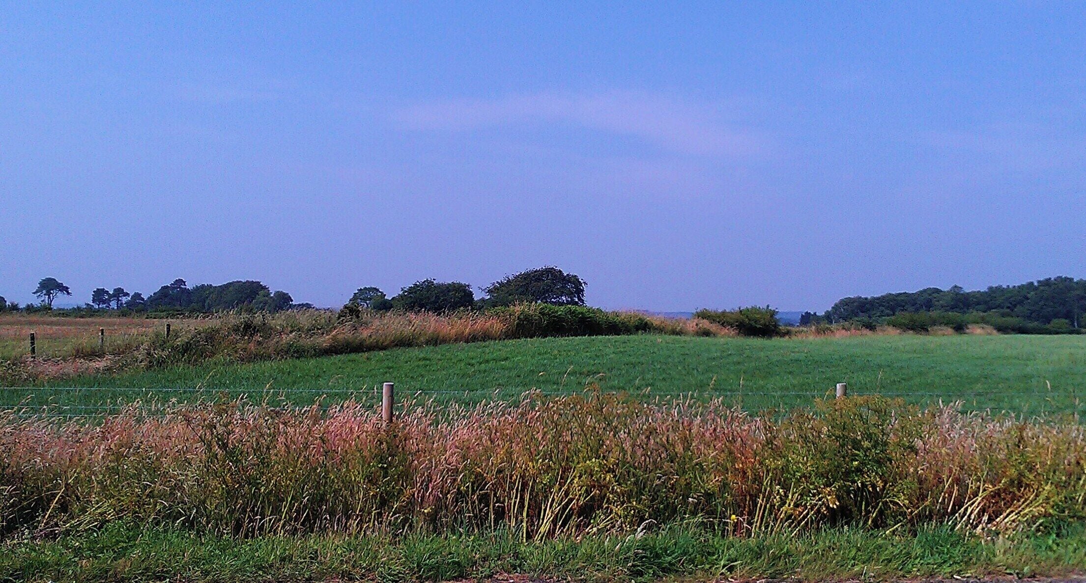 Tumuli that is part of the Barrow Down cemetery near Ottery St. Mary, Devon. The tumuli is the small hill in the field, with a fence and small hedgerow bisecting it.