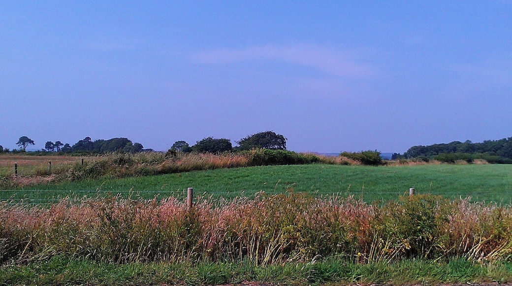 Tumuli that is part of the Barrow Down cemetery near Ottery St. Mary, Devon. The tumuli is the small hill in the field, with a fence and small hedgerow bisecting it.