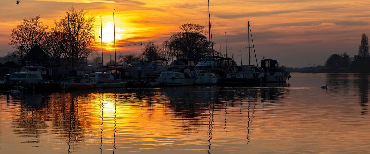 A marina at sunset with boats docked and a swan swimming in the water.