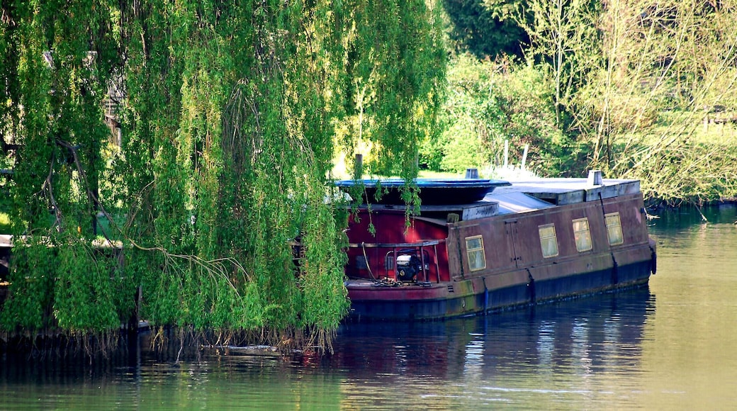 Narrowboat on the Thames at Pangbourne