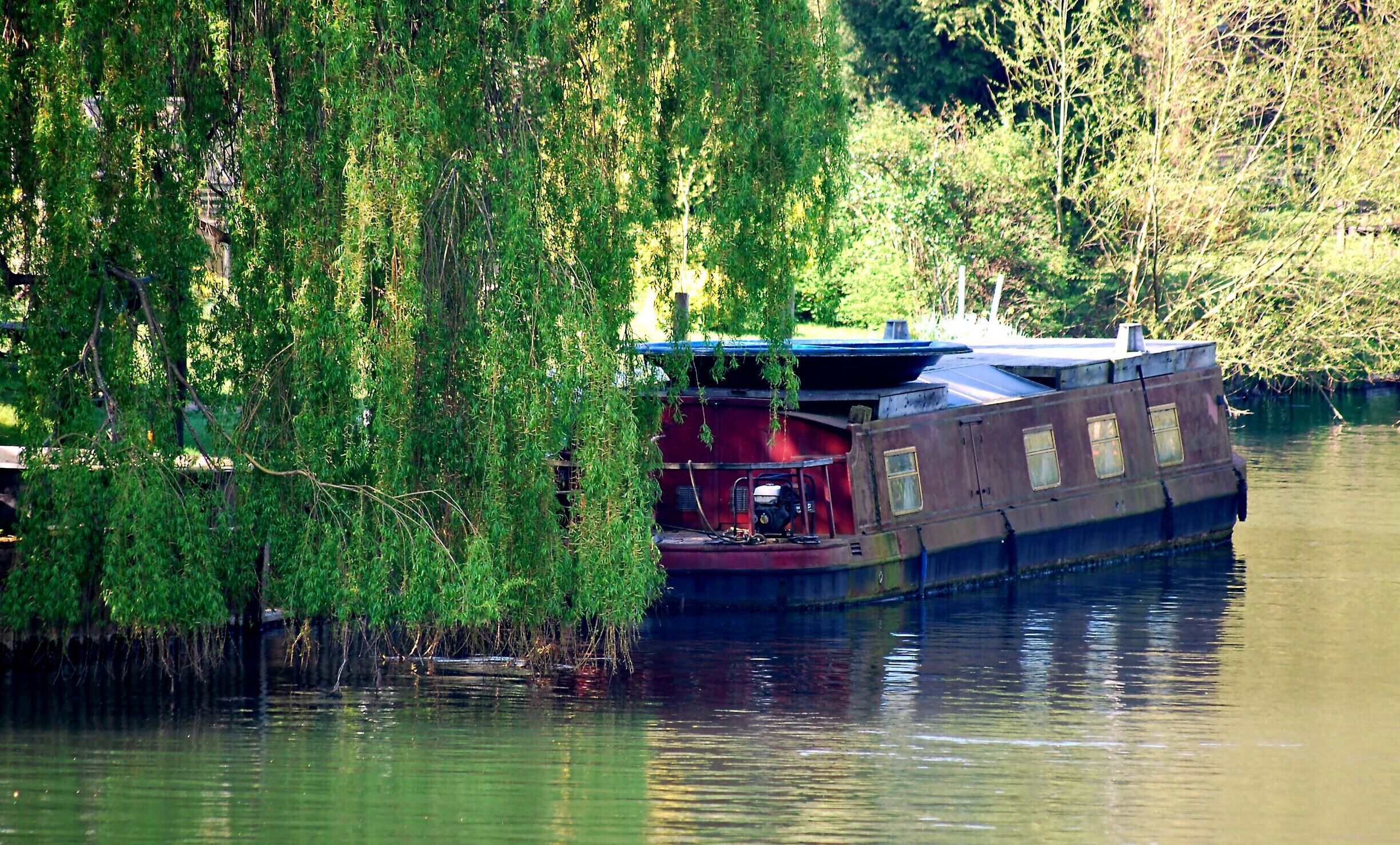 A narrowboat docked near a willow tree.