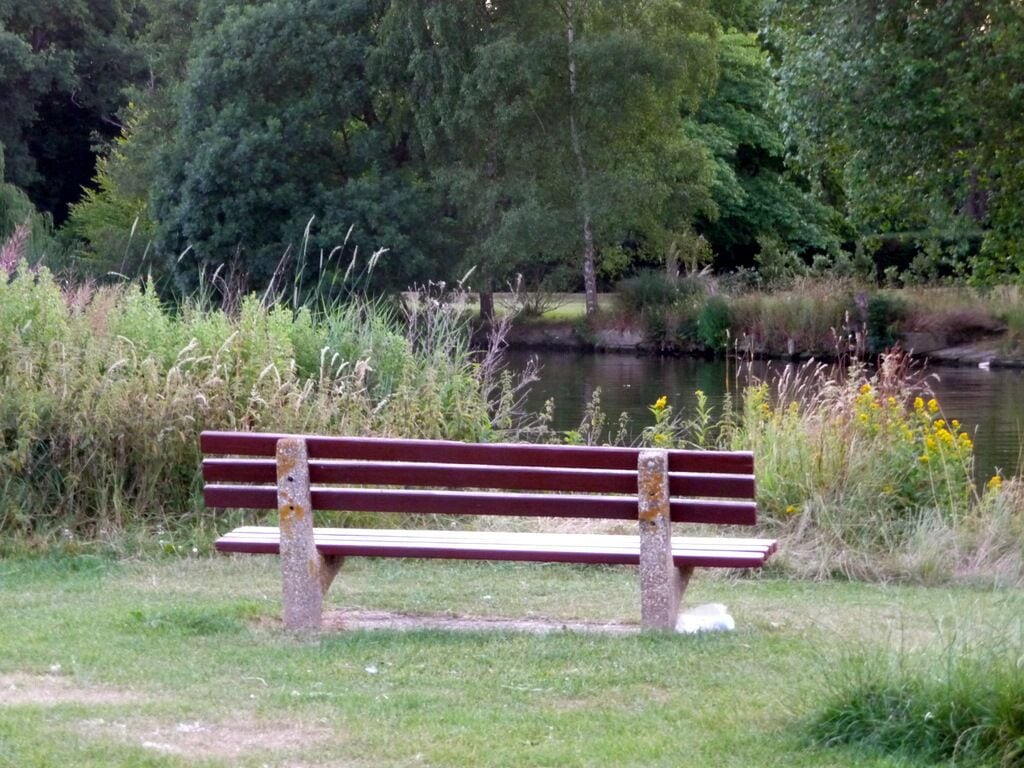 River view, Pangbourne Looking across towards the River Thames from the Water Meadows.