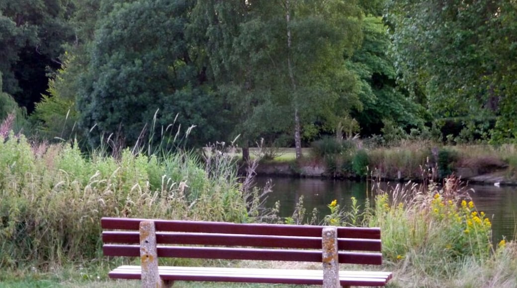 River view, Pangbourne Looking across towards the River Thames from the Water Meadows.