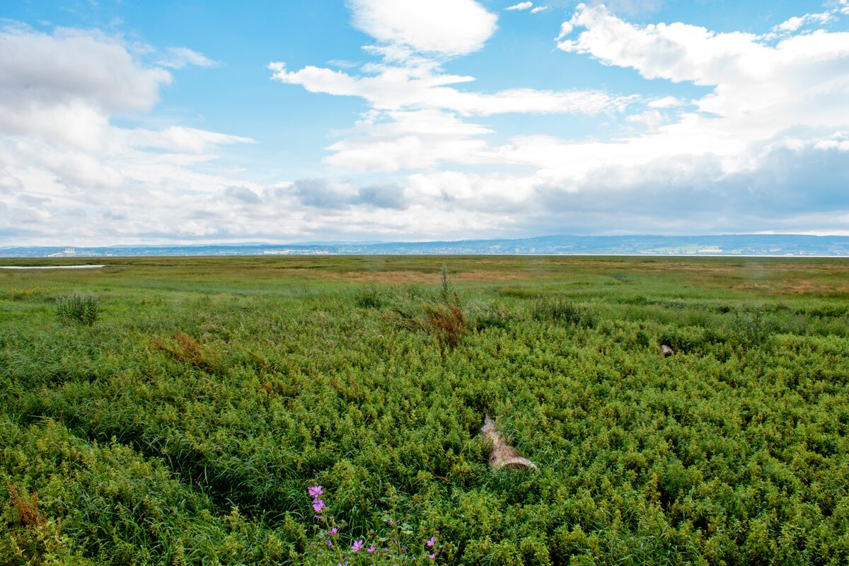Looking across the Dee Estuary towards North Wales