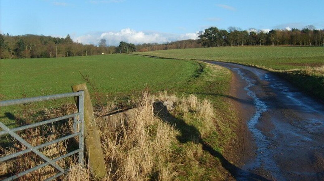 Path to Hawks Well A farm road on Patshull Crown Estate.